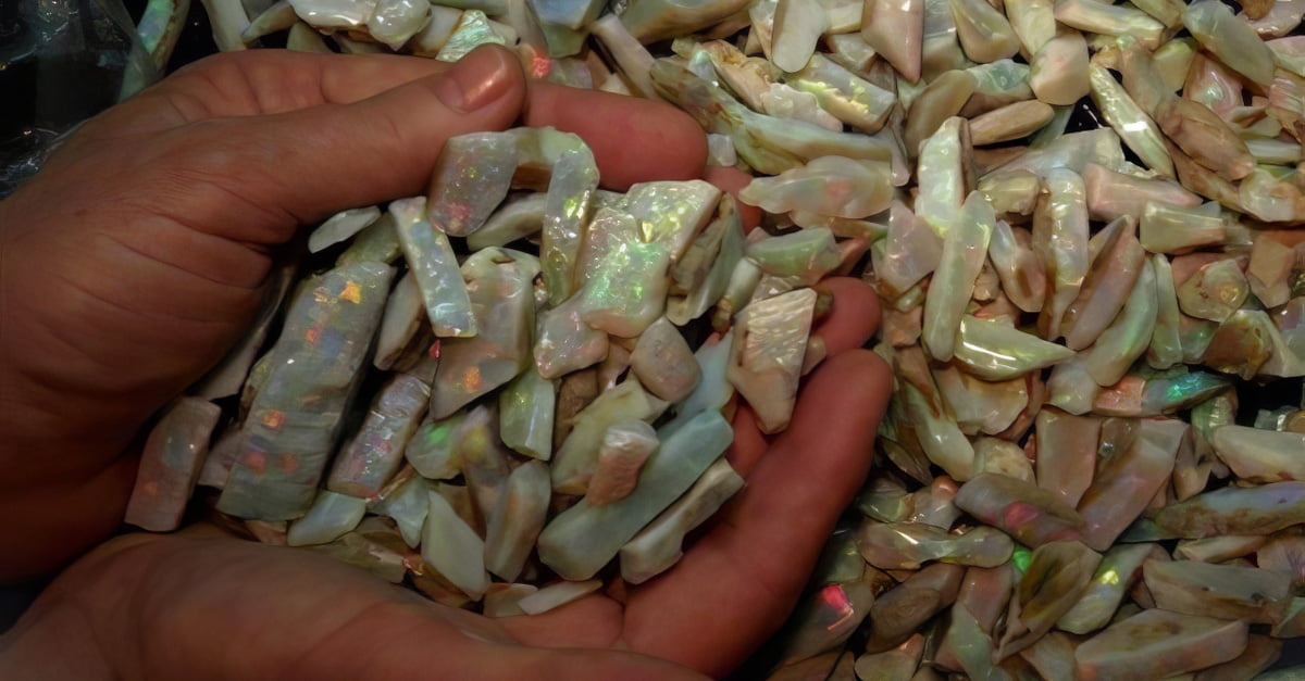 ogimage Opal Buyers