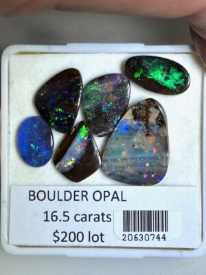 Boulder Opal - 16.5 carat lot